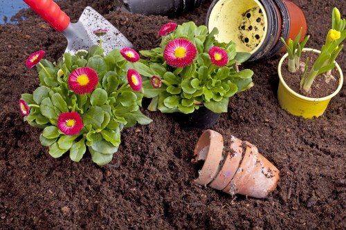 Gardeners Morden pricing explained for a small garden tidy-up