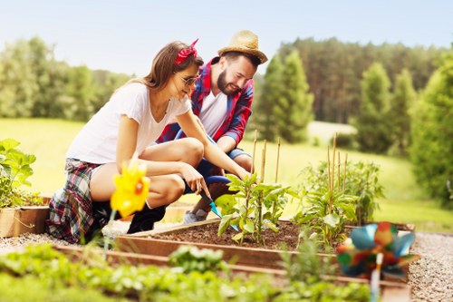 Tidying an untidy backyard during garden clearance in Morden