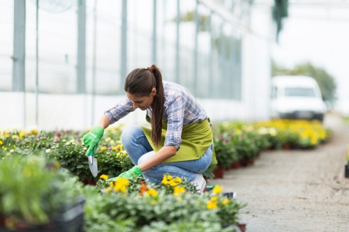 Recycling and sustainability in a Morden garden project