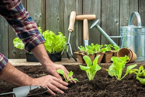 Gardening services terms and conditions introduction