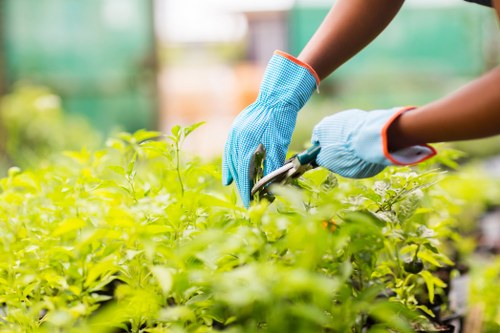 Gardeners Morden supplier audit and compliance process