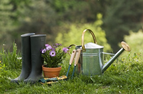 Lawn mowing and garden maintenance services in Morden