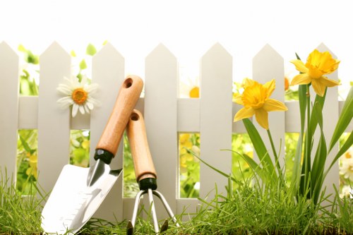Healthy green lawn care in Morden with neat grass and tidy edges