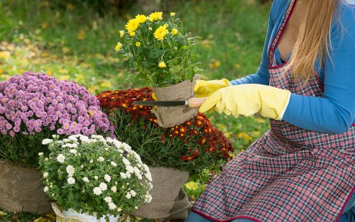 Professional gardeners in Morden improving a residential outdoor space