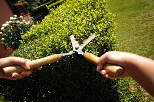 Insured gardening professionals completing safe garden care