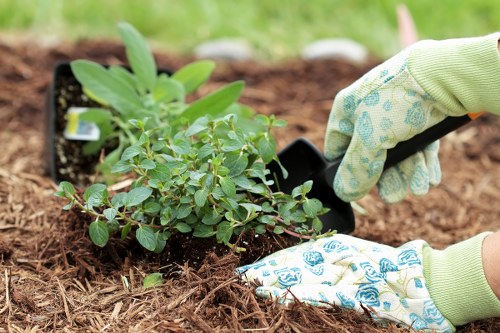 Gardeners Morden annual review of modern slavery controls