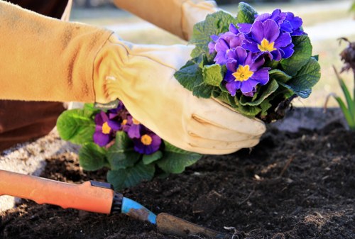 Garden maintenance risk assessment in Morden