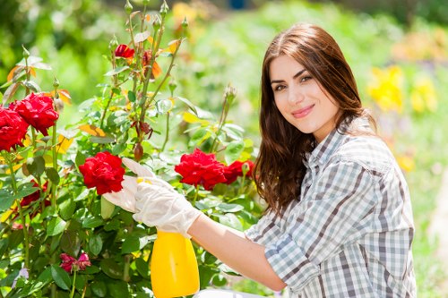 Soft landscaping in Morden with plants, shrubs, and seasonal garden colour