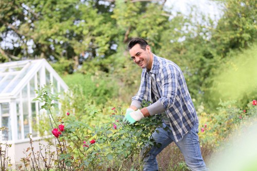 Careful hedge shaping to support healthy growth in Morden