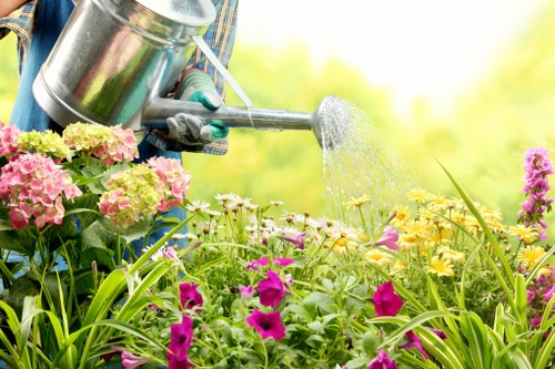 Low-carbon van used for sustainable garden services