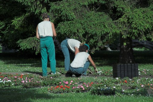 Reliable garden care and maintenance in Morden