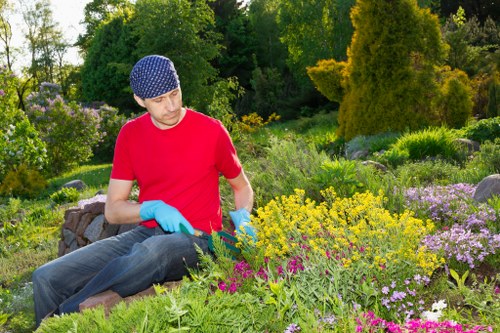 Regular hedge maintenance enhancing curb appeal in Morden