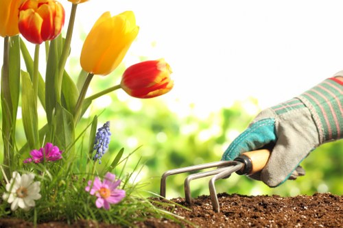 Green waste separated for composting and reuse