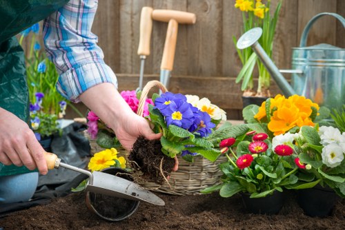 Local garden maintenance and planting work in Morden
