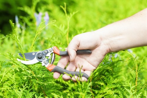 Professional mower trimming grass evenly in Morden