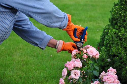Garden clearance and tidy-up services for Morden homes