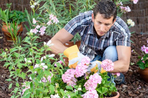 Reusable garden materials prepared for charity donation